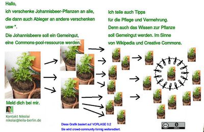 1. Text Vermehrung Johannisbeere.jpeg