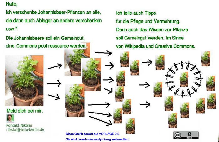 1. Text Vermehrung Johannisbeere.jpeg
