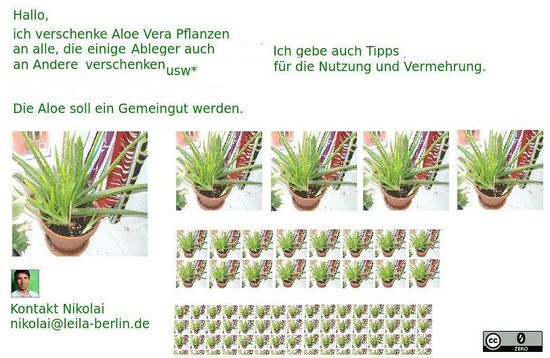 AloeWeitergabe.jpeg