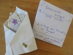 Saatgut-Tütchen selbermachen.JPG