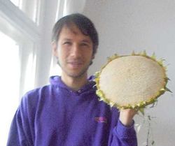 Sonnenblume Sep2018.JPG